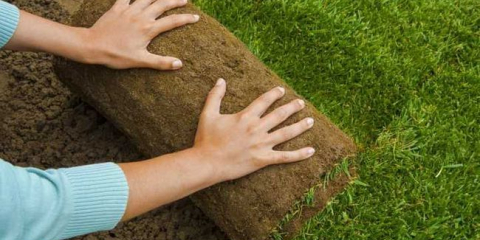 Jak položit válcovaný trávník - mistrovská třída krok za krokem a tipy, jak správně položit válcovaný trávník (120 fotografií + video)